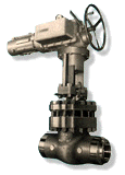Electric Motor Operated Wedge Gate Valve