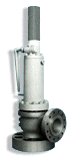 Safety Valve for Pressurizer