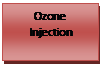 Text Box: Ozone Injection