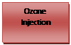 Text Box: Ozone Injection