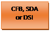 Text Box: CFB, SDA   or DSI