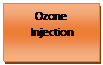 Text Box: Ozone Injection