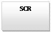 Text Box: SCR