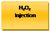 Text Box: H2O2                    Injection

