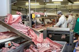 Meat processing plant UK, Stock Photo, Picture And Rights Managed ...