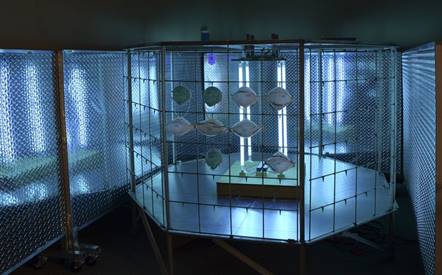An industrial-sized device designed by a team from Lehigh University and St. Luke’s University Health Network uses ultraviolet light to kill the coronavirus, allowing the hospital to sterilize and re-use N95 masks which are in short supply because of the coronavirus pandemic. (Photo courtesy of St. Luke's University Health Network)