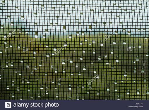 rain drops on a window screen just after a shower Stock Photo - Alamy