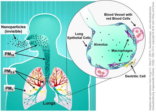 Nanoparticles and the lung