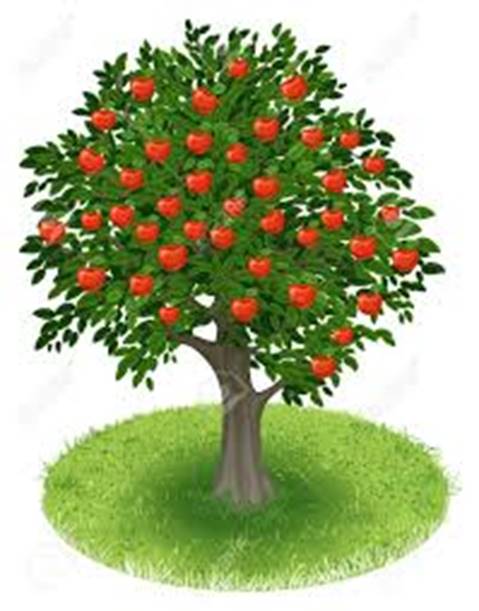 Summer Apple Tree With Red Apple Fruits In Green Field, Illustration  Royalty Free Cliparts, Vectors, And Stock Illustration. Image 19285541.